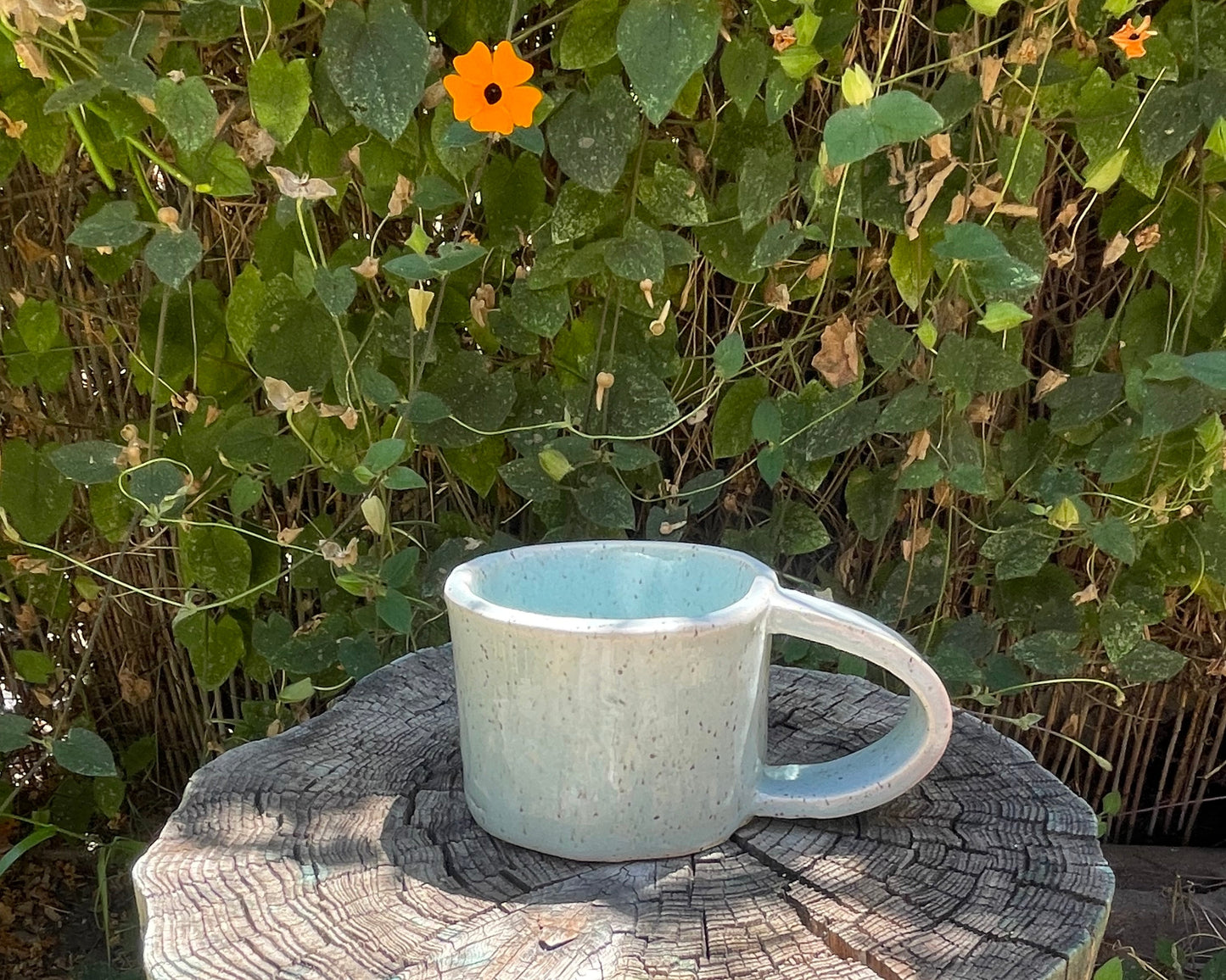 Gemini Mug No. 02