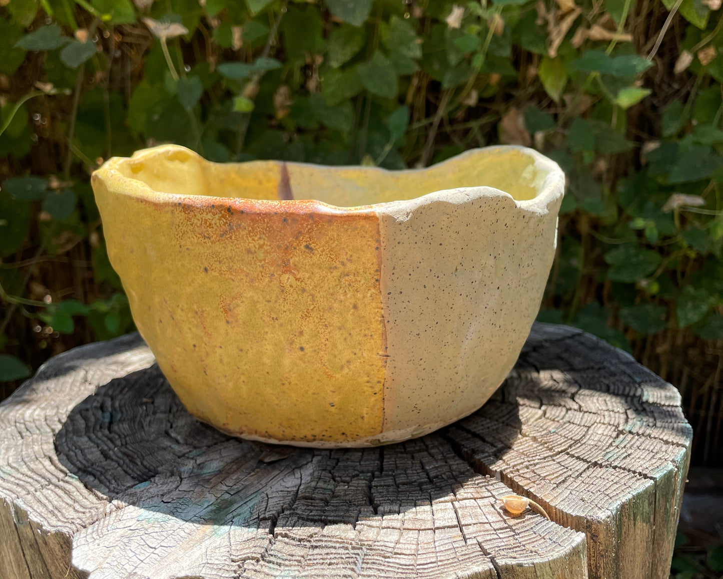 Olive + Yellow Planter