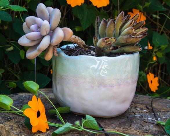 Pink + Blue Planter
