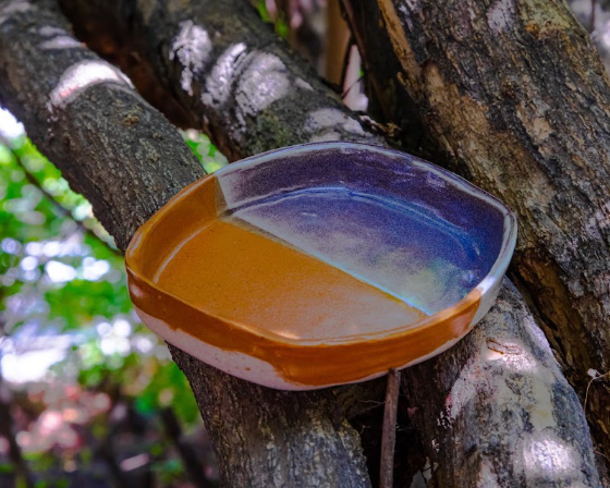 A small ceramic dish with a split-color glaze of amber-brown and deep blue, resting on a tree branch outdoors.