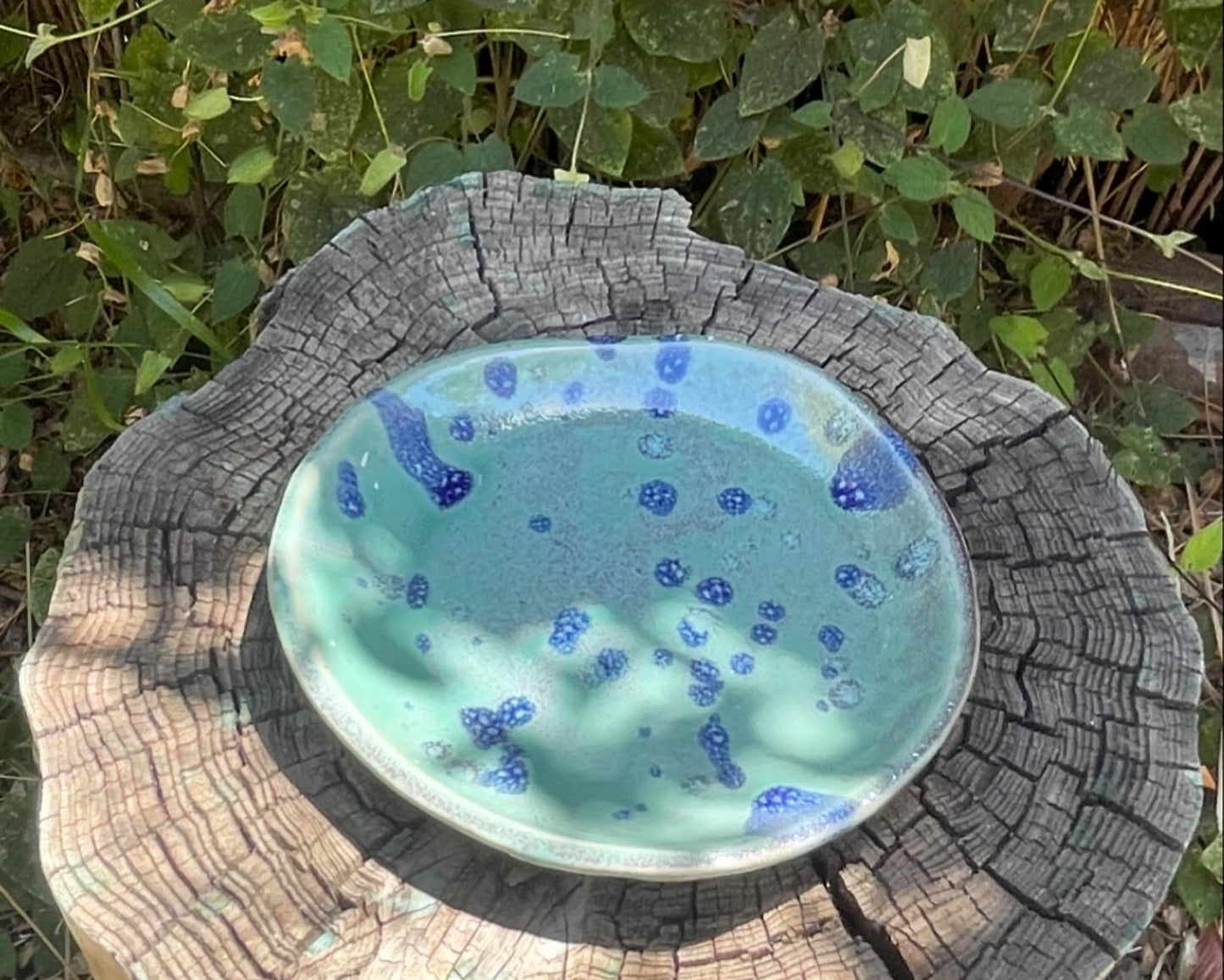 Speckled Plate