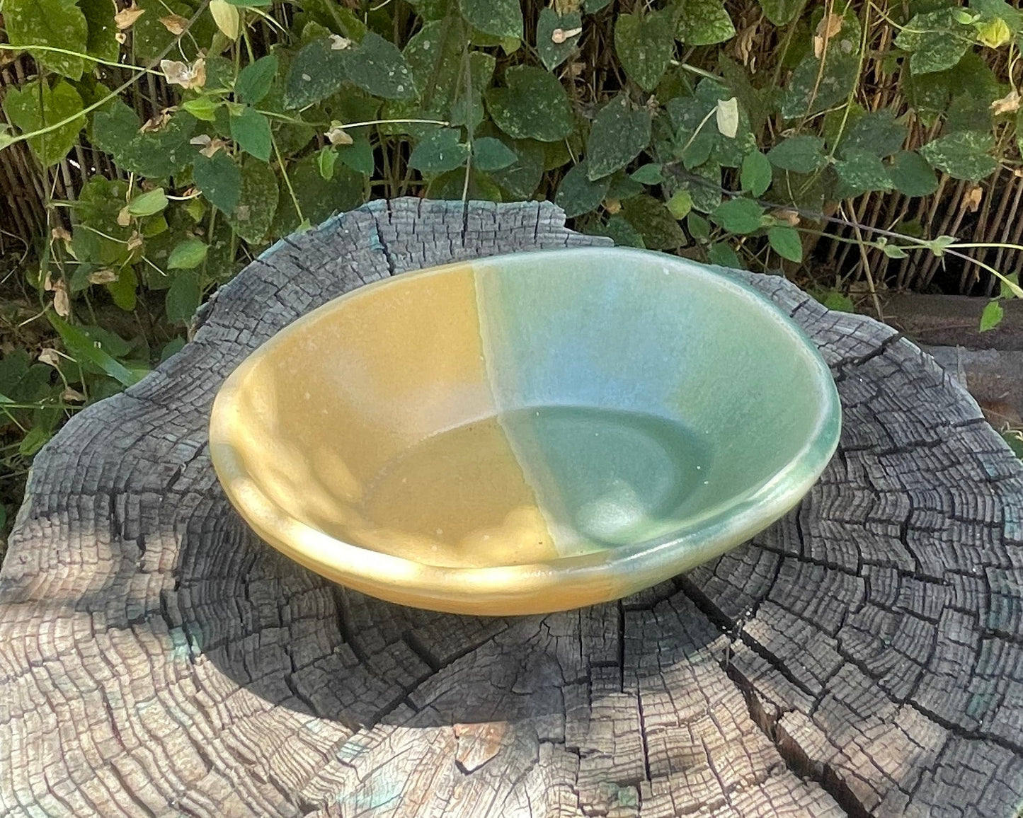 Yellow + Green Dish