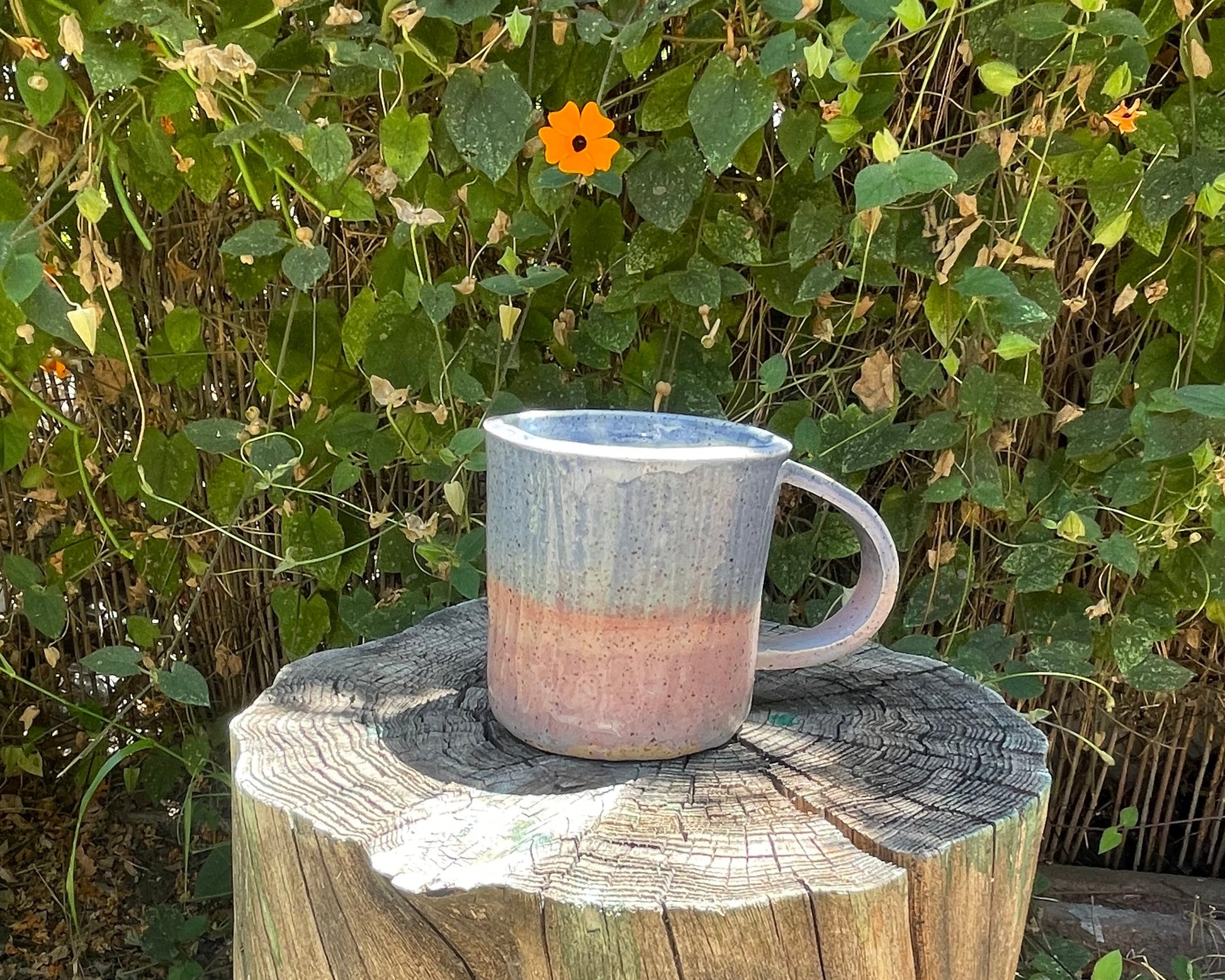 Blush + Seafoam Tumbler