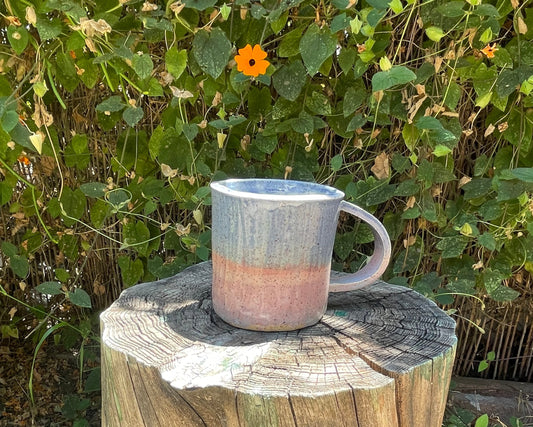 Blush + Seafoam Tumbler
