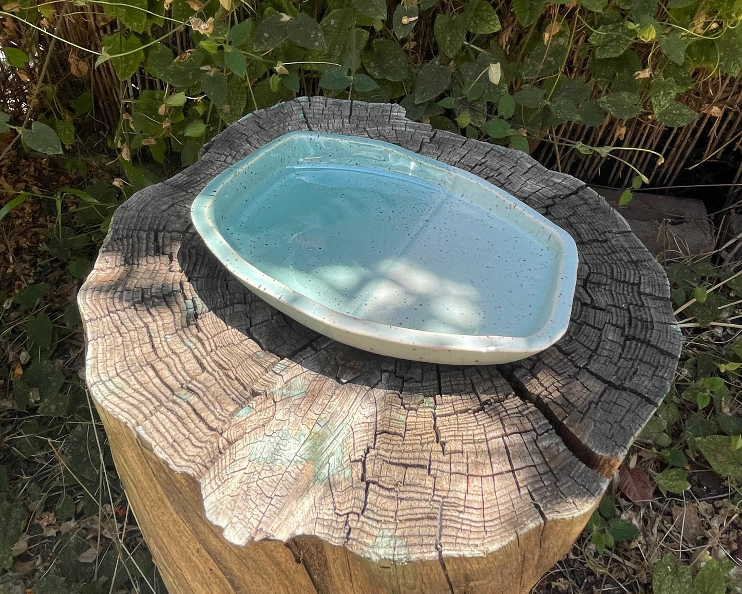 Double Light Blue Tray