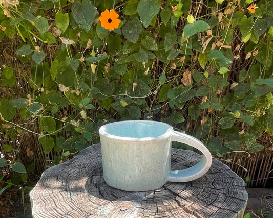 Gemini Mug No. 02