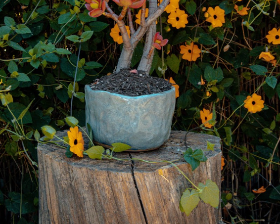 Gray Planter