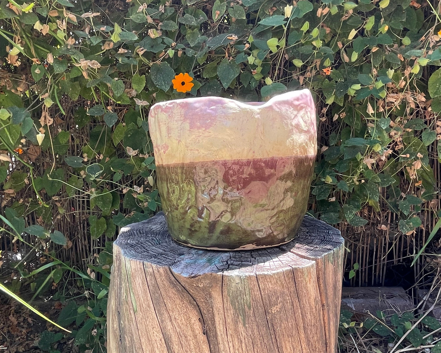 Green + Pink Planter