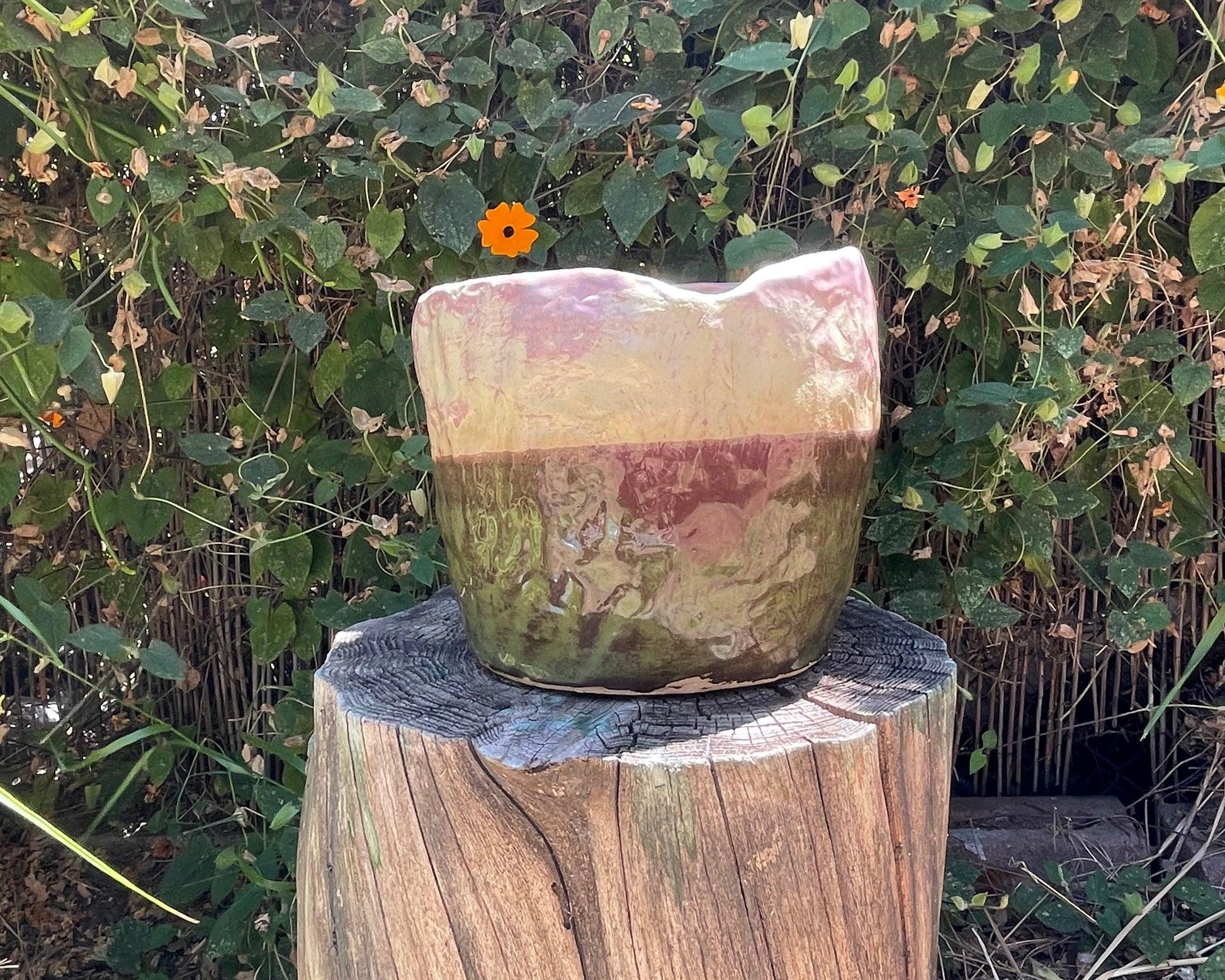Green + Pink Planter