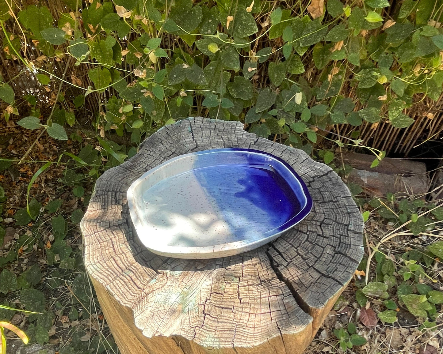 Light + Dark Blue Tray