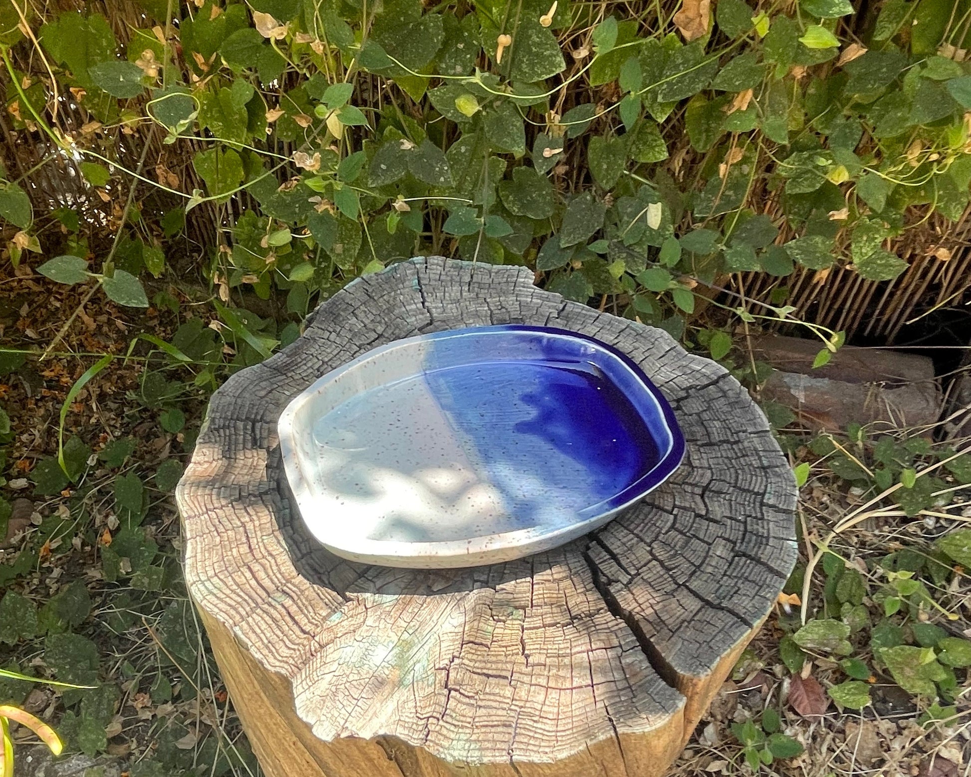 Light + Dark Blue Tray