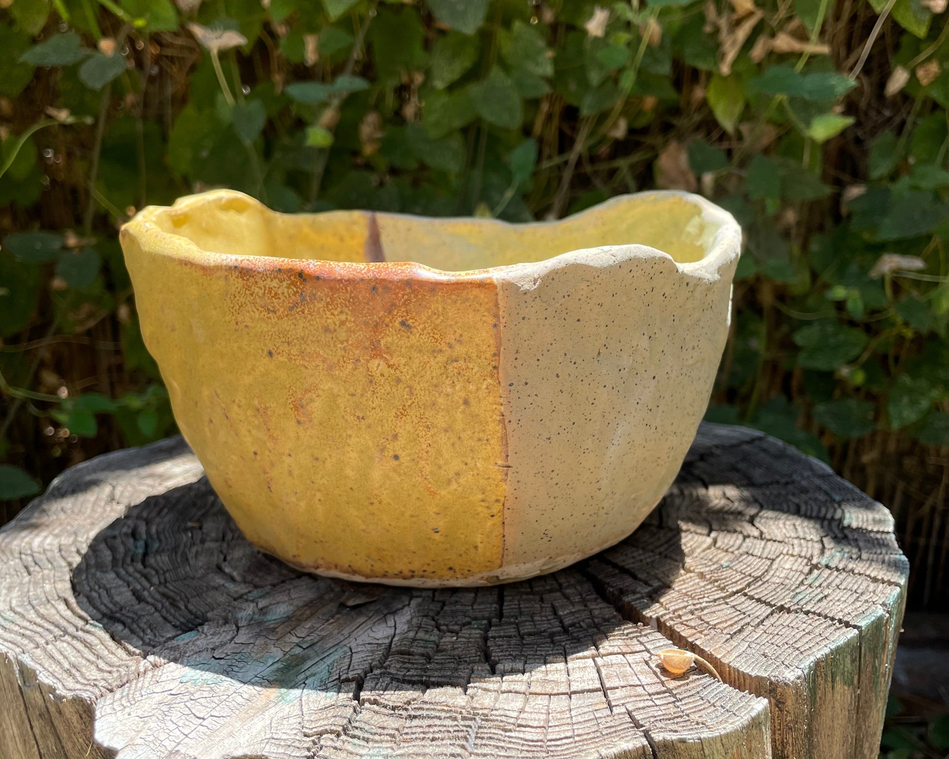 Olive + Yellow Planter