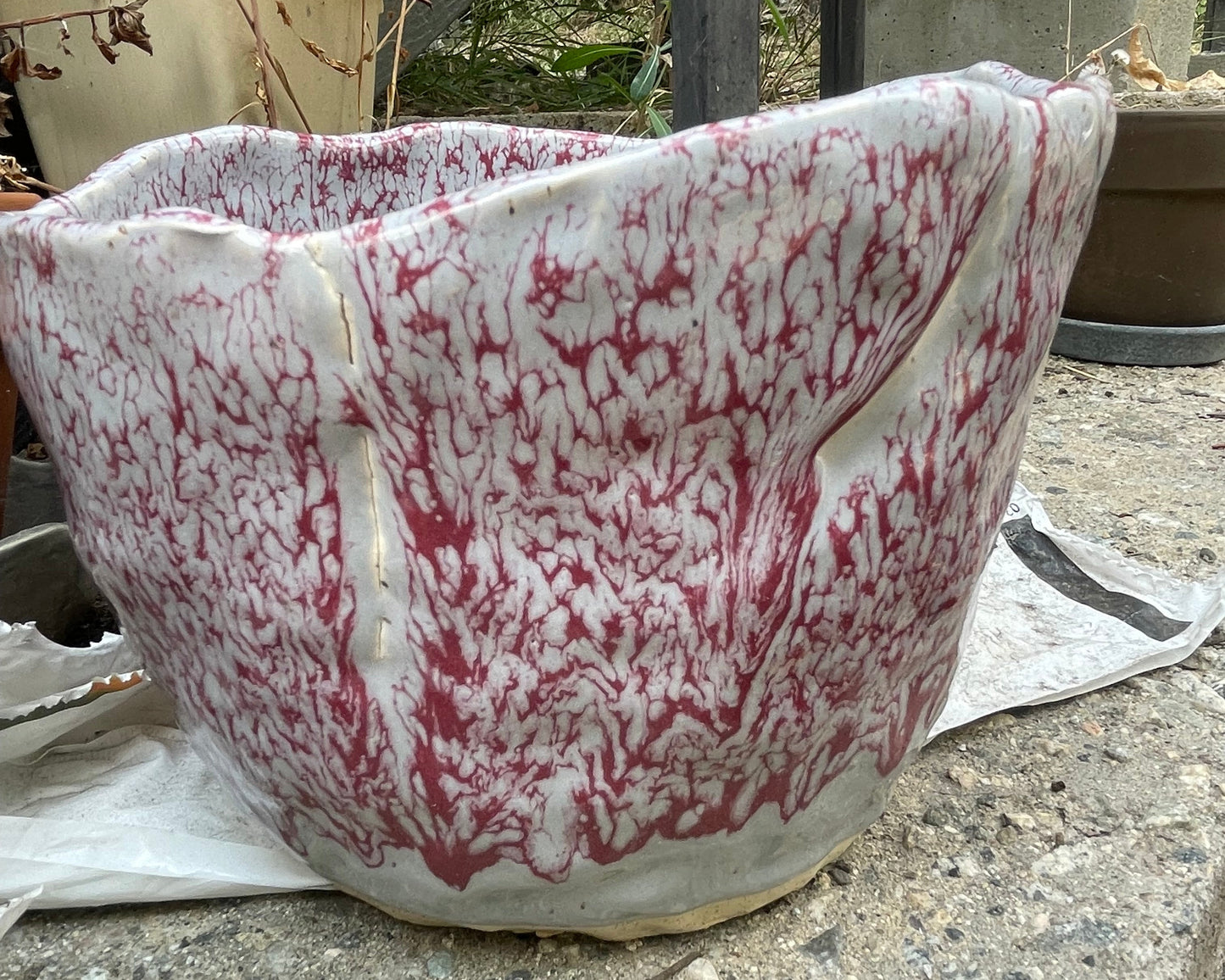 Red Vein Planter