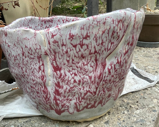 Red Vein Planter