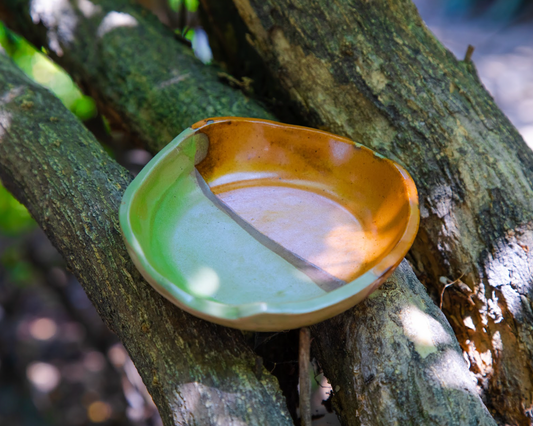 Tan + Olive Plate