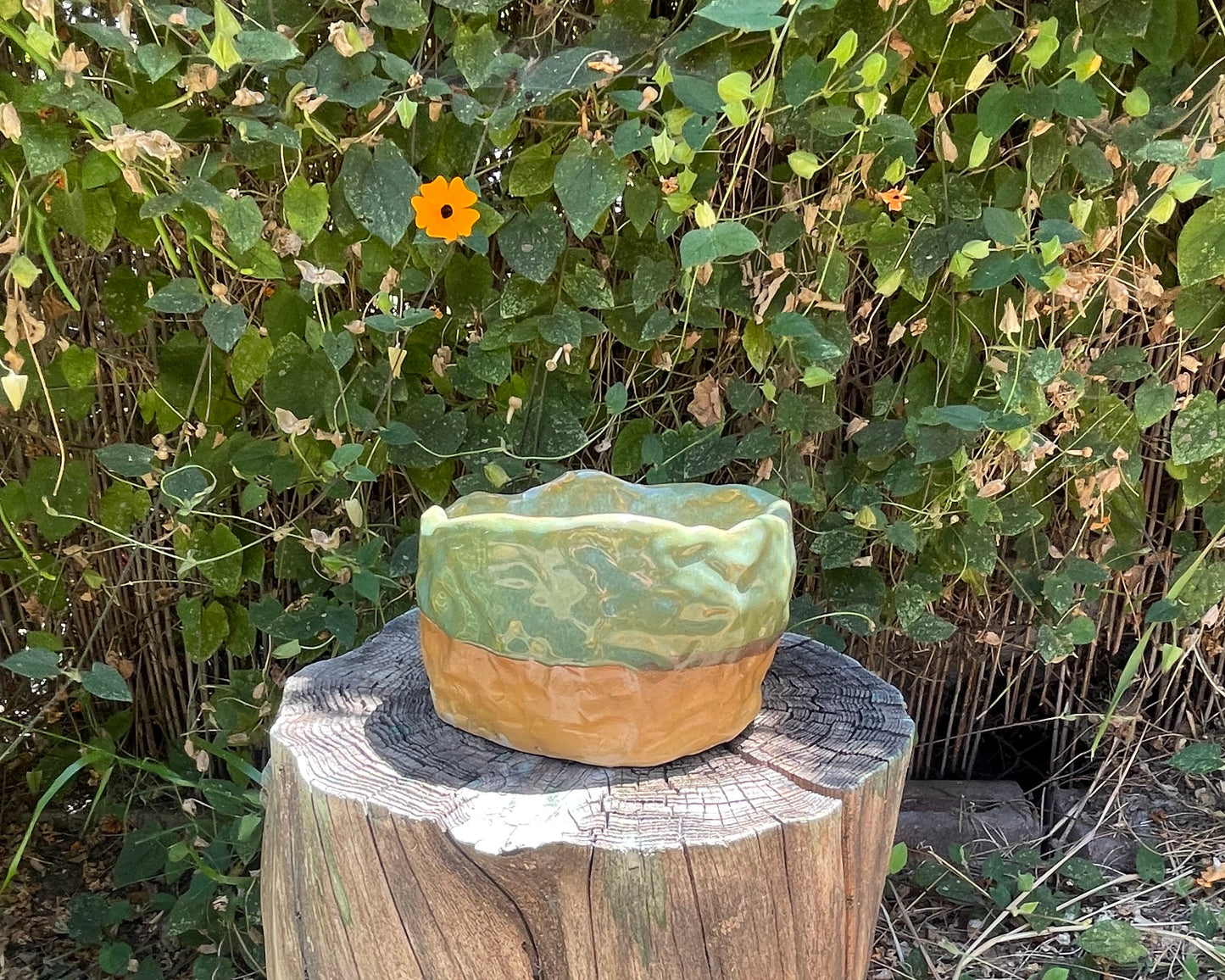 Yellow + Green Planter