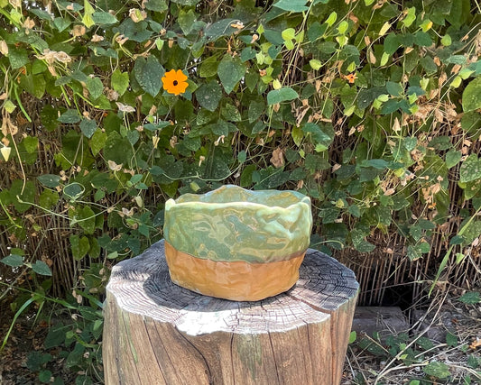Yellow + Green Planter